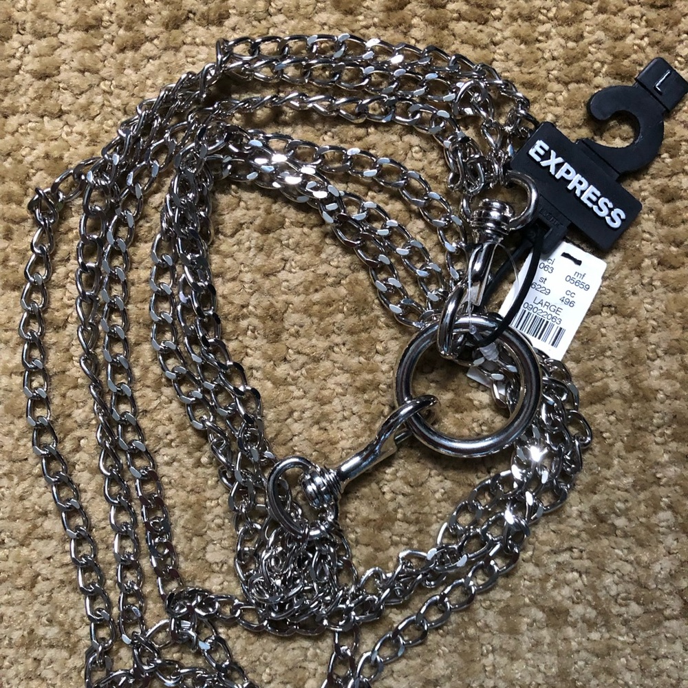 NWT “Express” Chain Belt